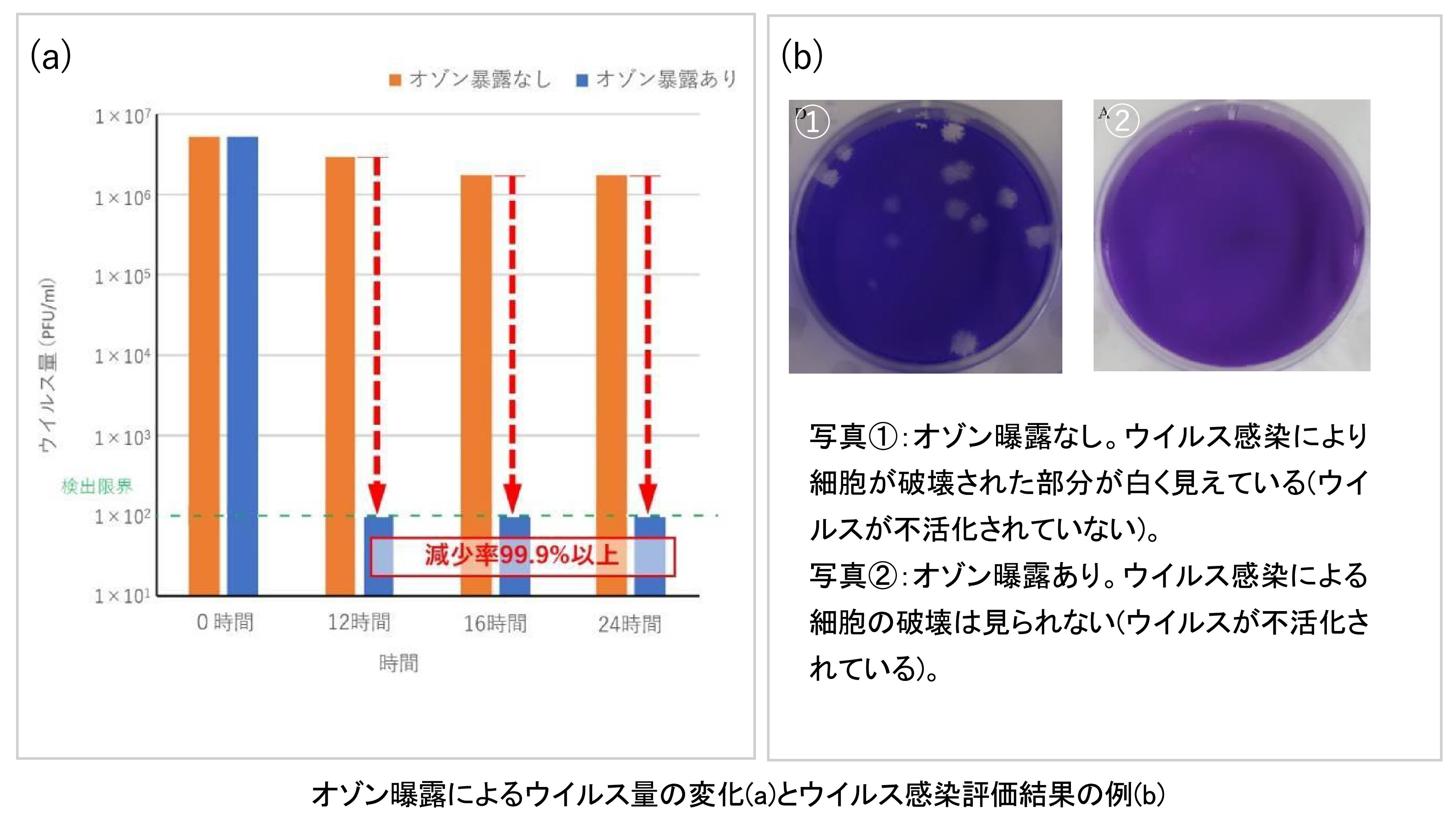 低濃度オゾンによる新型コロナ不活化 | 桜川市で痛みに配慮した